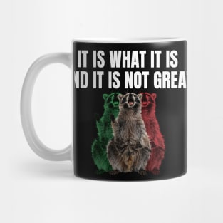 It Is What It Is And It Is Not Great Funny Raccoon Mug